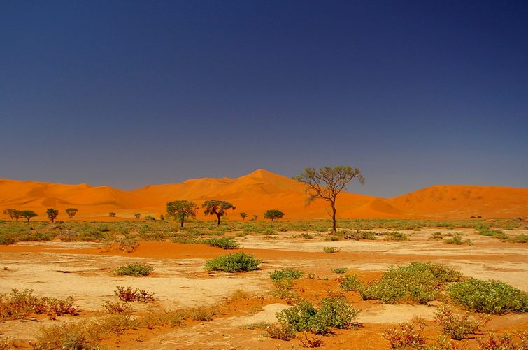 384 Namibia Okt 2006 .JPG